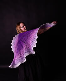 WINGS [2024]